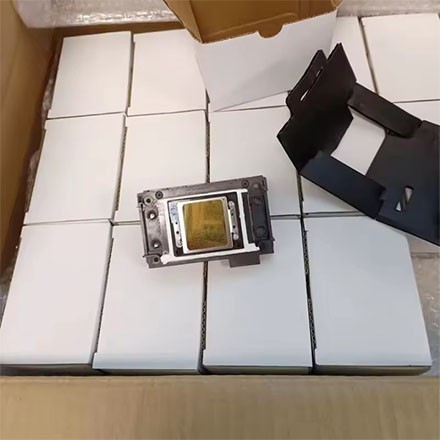 Печатающая головка Epson F1080